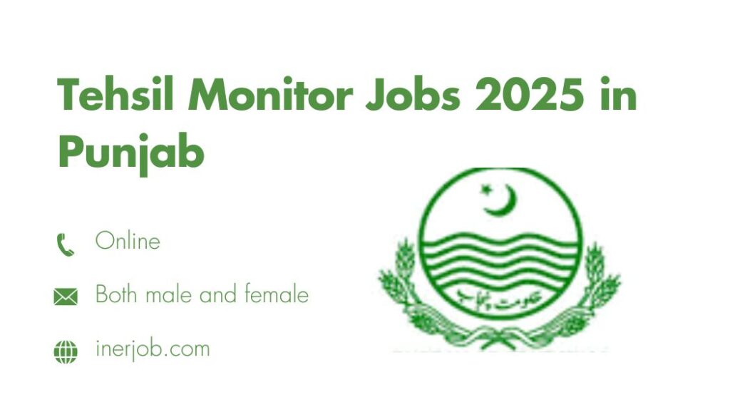 Tehsil Monitor Jobs 2025 in Punjab